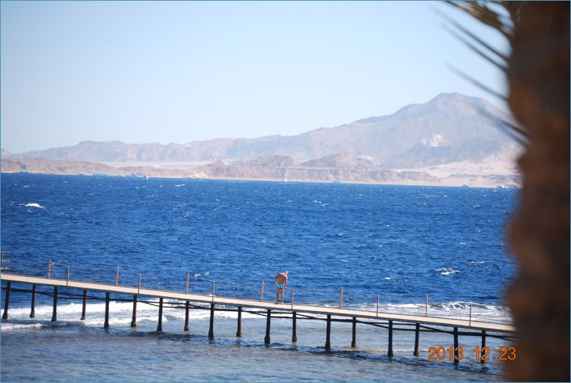sharm 12 071